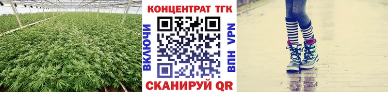 Купить закладки  Городище  ТГК гашишное масло 